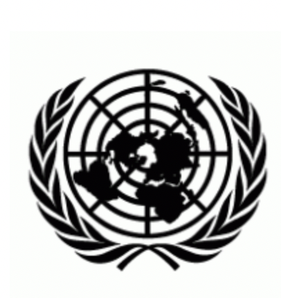 OMPI ingresa en la NN.UU