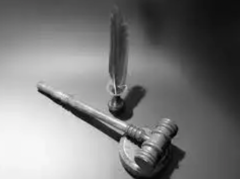 Registro de la Propiedad Intelectual