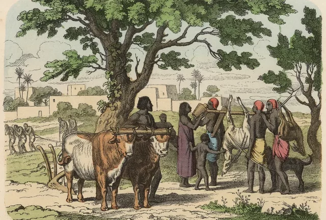 First Populations of the 'Fertile Crescent'