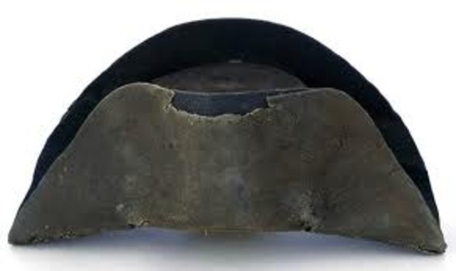 (chapter 3) Napoleon becomes emperor of France