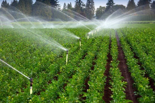 Irrigation of Agricultural Crops