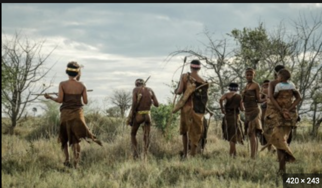 Rise in Agriculture in Botswana