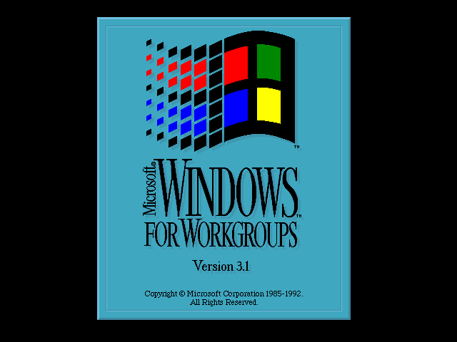MS-Windows for WorkGroups (3.1).