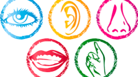 Timeline: Actividad 4 - Recorrido en el estudio de los procesos sensoperceptivos ELIER MARTINEZ REALPE