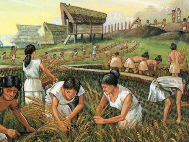 Jordbruksrevolusjonen