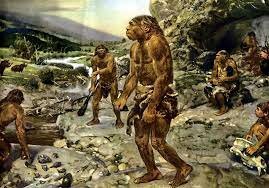 homo neandertals