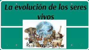 Evolución de los seres vivos