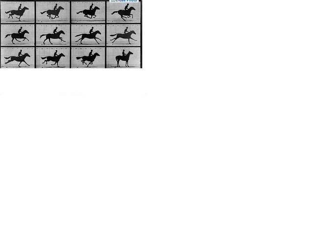 The First Action Shot