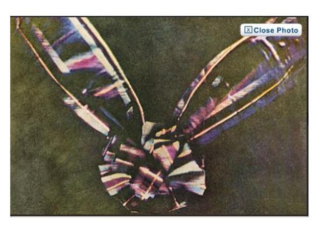 The First colour photo