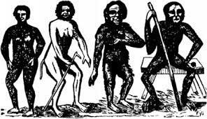 Se propone la clasificación alternativa de los fósiles, incluyendo la de los homínidos.