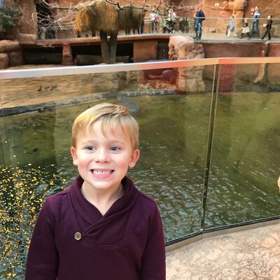 Timeline: Oliver’s Nursery Over The Years