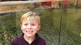 Timeline: Oliver’s Nursery Over The Years