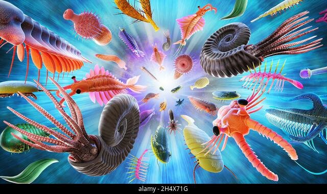 Explosión cámbrica - 530 m.a.