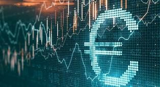 Entra el vigor el euro