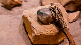 Timeline: Cronologia Prehisoria