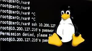 Lenguaje de programación núcleo Linux