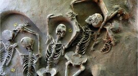 Timeline: La prehistoria