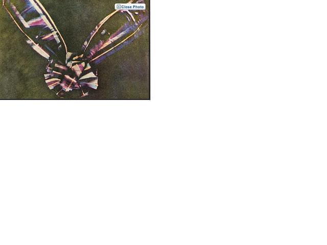 The First Colour Photo