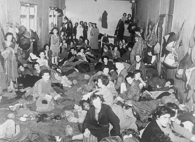 Allies condemn mass murder