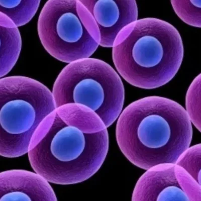 Timeline: Teoria celular