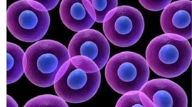 Timeline: Teoria celular