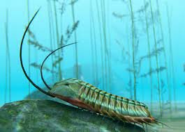 Extinción del Trilobite