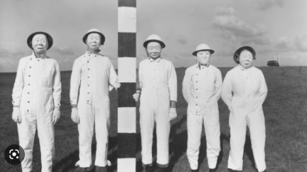 Inoculación de enfermedades en Alemania y Segunda guerra mundial