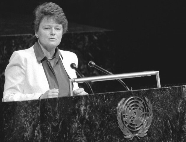 Informe Brundtland