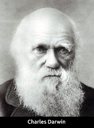 Fundamentos Charles Darwin