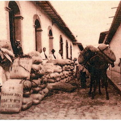 Timeline:  EL DESPEGUE CAFETERO (1900 - 1928)
