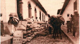 Timeline:  EL DESPEGUE CAFETERO (1900 - 1928)