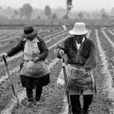 Timeline: Línea de tiempo del desarrollo empresarial en Colombia