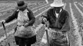 Timeline: Línea de tiempo del desarrollo empresarial en Colombia