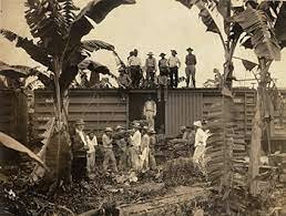 compañia unida de frutas