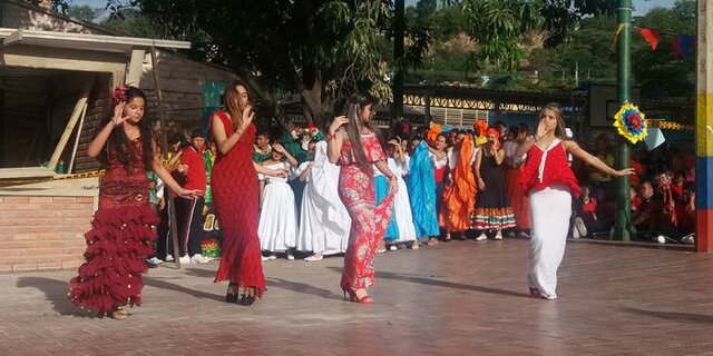 Decreto 2957 de 2010 reconocimiento de los gitanos como un grupo étnico con una identidad cultural propia.