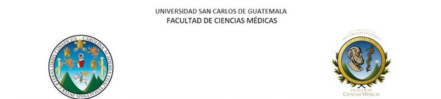 RUTH NOEMI NUNFIO PÉREZ 202203466