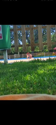 VIENE MI PADRE POR MI CUMPLE DE SORPRESA