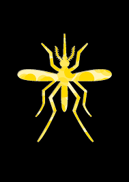 Campaña Nacional contra la fiebre amarilla