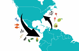 Tratado de libre comercio