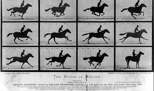 The First Action Photo