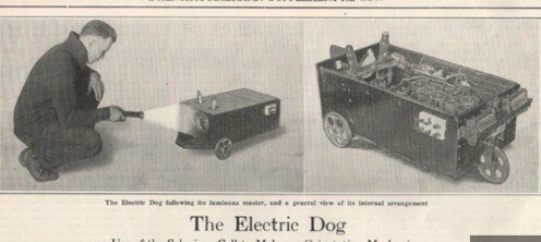 le chien éléctrique de hammond