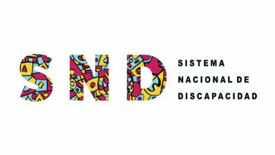 Se organiza el Sistema Nacional de Discapacidad