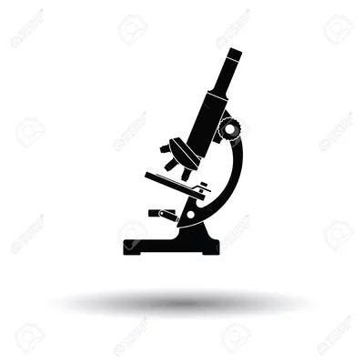 Timeline: Microscopios Ópticos