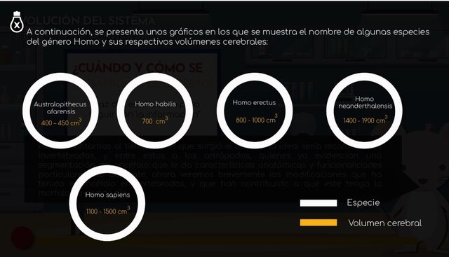 Cerebro en hominidos.