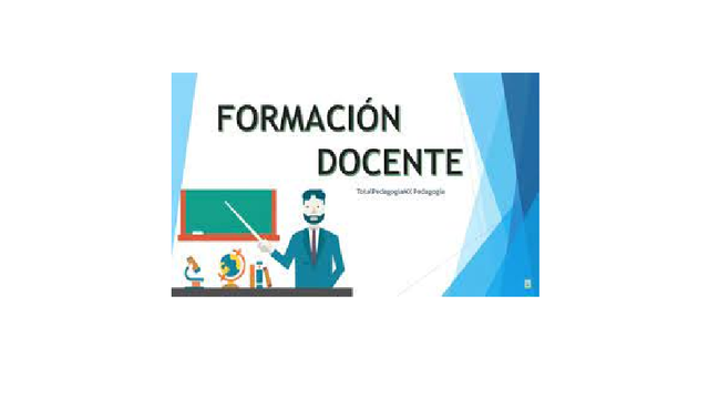 Programas de formación docente