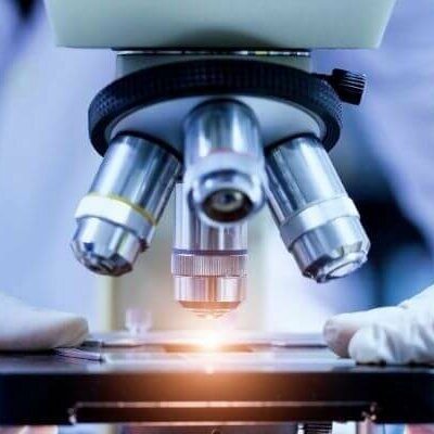 Timeline: MICROSCOPIO OPTICO