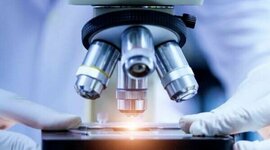 Timeline: MICROSCOPIO OPTICO