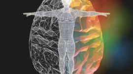 Timeline: Recorrido en el estudio de los procesos sensoperceptivos