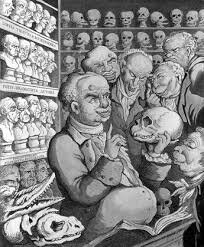 Francisco José Gall-(Frenología)