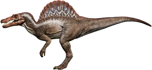 people think spinosaurus looks like this